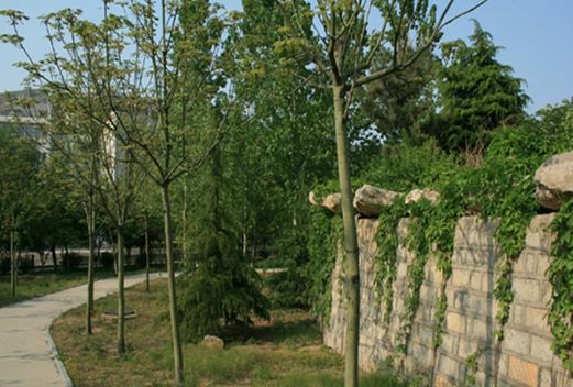 聊城大学教育科学学院