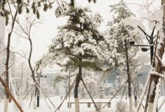 辽宁中医药大学
