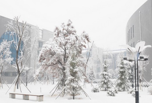 辽宁中医药大学图片