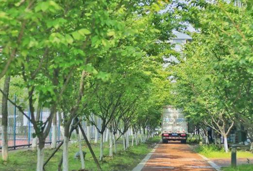 南京大学医学院