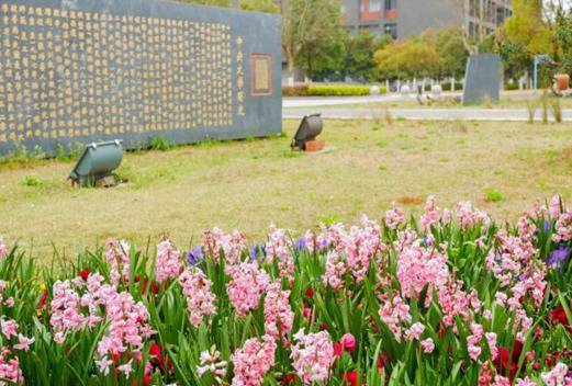 南京大学医学院图片