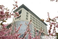 洛阳理工学院