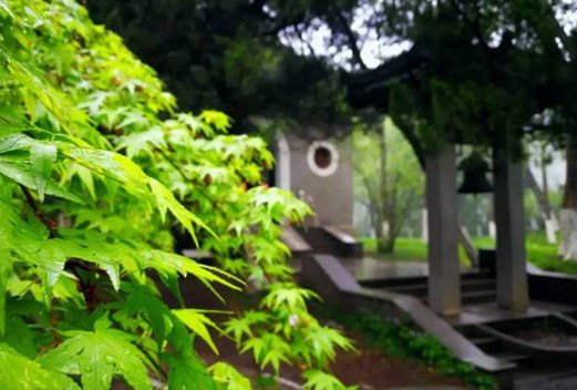 江苏护理职业学院图片
