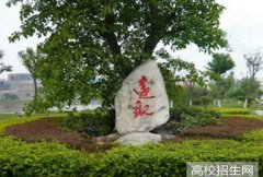 西华大学