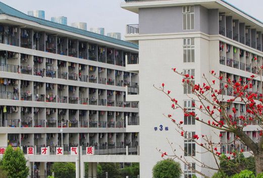 广州华夏职业学院图片