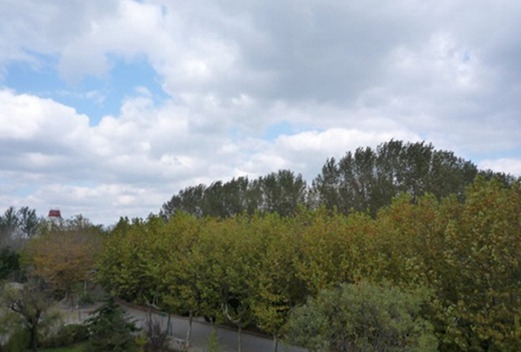 山东协和学院
