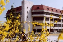 山东师范大学历山学院