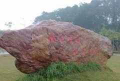 临沂大学