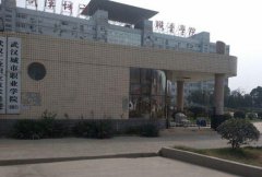 武汉城市职业学院