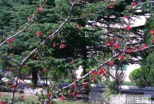 榆林学院