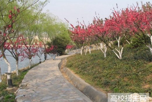 桂林理工大学博文管理学院图片
