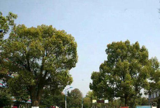 湖南应用技术学院图片