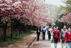 山东服装职业学院