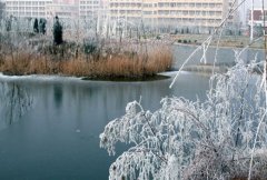 齐鲁师范学院教师教育学院