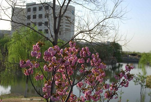 济宁学院图片