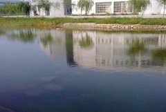 西北大学化学与材料学学院