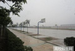 成都学院