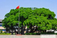 龙岩学院