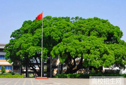 龙岩学院
