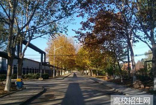 渤海石油职业学院图片