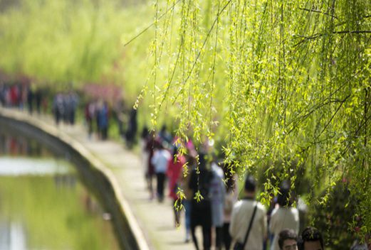 三峡大学医学院图片