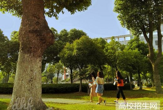 芜湖职业技术学院
