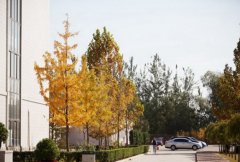 北京城市学院生物医药学部