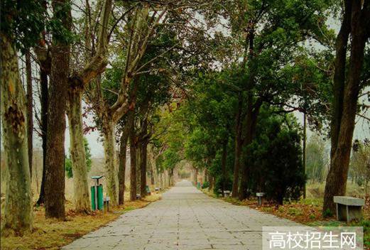 安徽工业大学图片