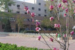 天津师范大学