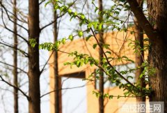 安徽新华学院