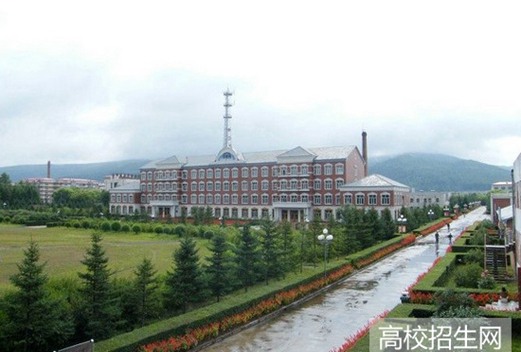 伊春职业学院图片
