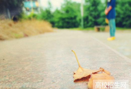 铜陵学院