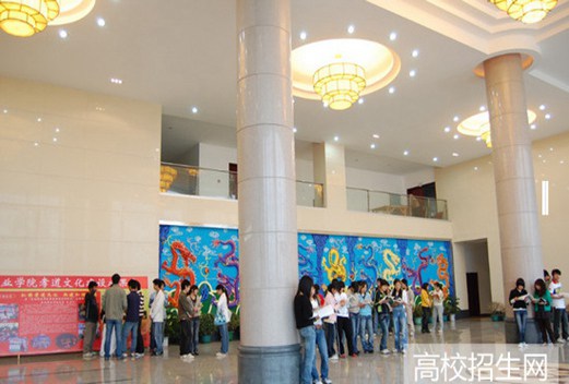 潇湘职业学院图片