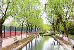 合肥学院