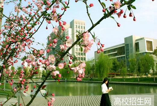 合肥学院图片