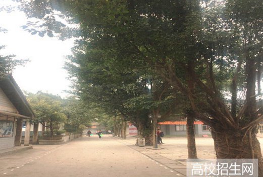 峨眉山市旅游学校图片