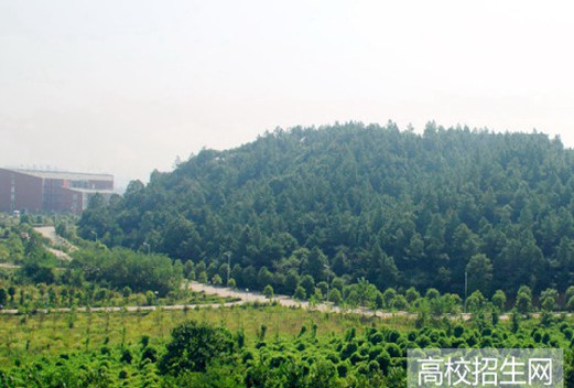 湖南工业职业技术学院图片