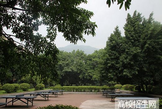 重庆知行卫生学校