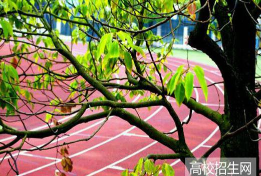 安徽师范大学皖江学院