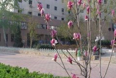 天津医科大学基础医学院