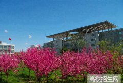 雅安幼师学校