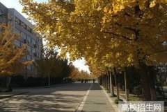皖西学院