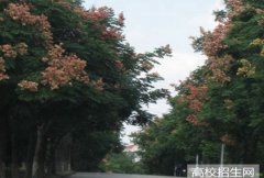 菏泽职业学院