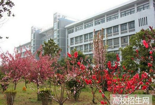 宿州职业技术学院图片
