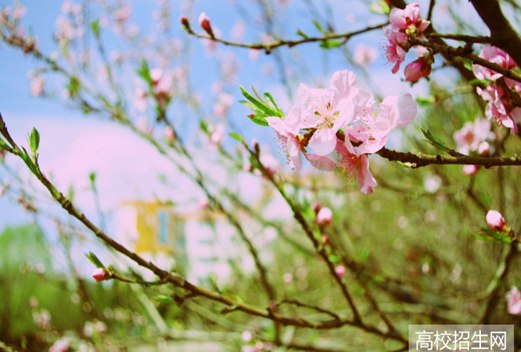 山西医科大学晋祠学院图片