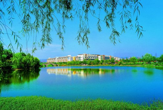 重庆科技学院