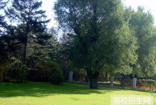 长春工业大学图片
