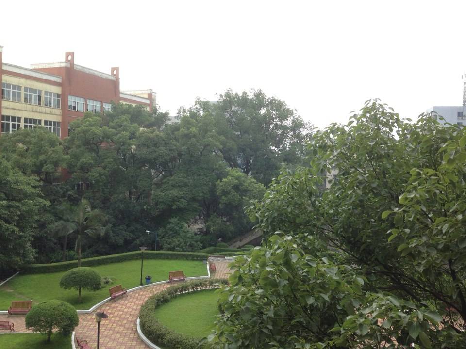 泸州市树风职业高级中学