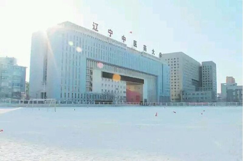 辽宁中医学院附属卫生学校