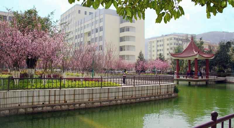 云南科技信息职业学院五年制大专
